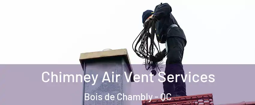 Chimney Air Vent Services Bois de Chambly - QC