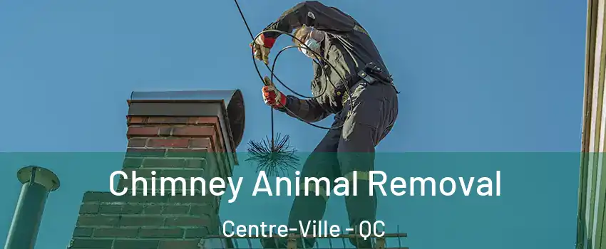  Chimney Animal Removal Centre-Ville - QC