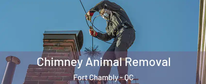  Chimney Animal Removal Fort Chambly - QC