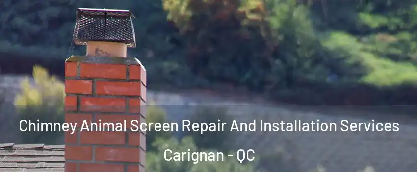  Chimney Animal Screen Repair And Installation Services Carignan - QC