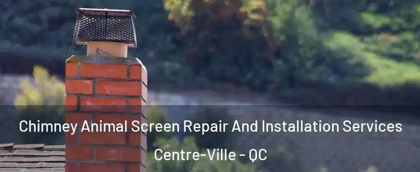  Chimney Animal Screen Repair And Installation Services Centre-Ville - QC