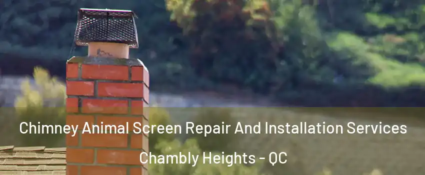  Chimney Animal Screen Repair And Installation Services Chambly Heights - QC