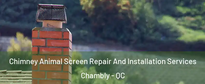  Chimney Animal Screen Repair And Installation Services Chambly - QC