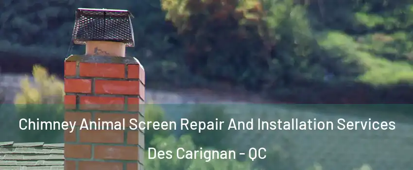  Chimney Animal Screen Repair And Installation Services Des Carignan - QC