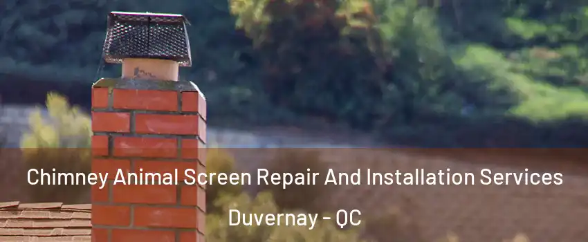  Chimney Animal Screen Repair And Installation Services Duvernay - QC