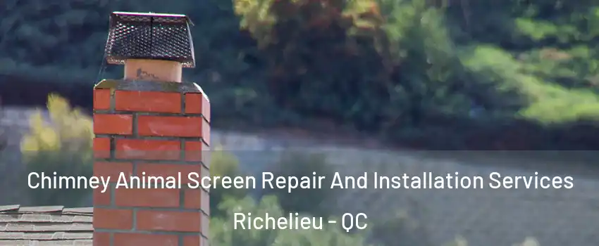  Chimney Animal Screen Repair And Installation Services Richelieu - QC