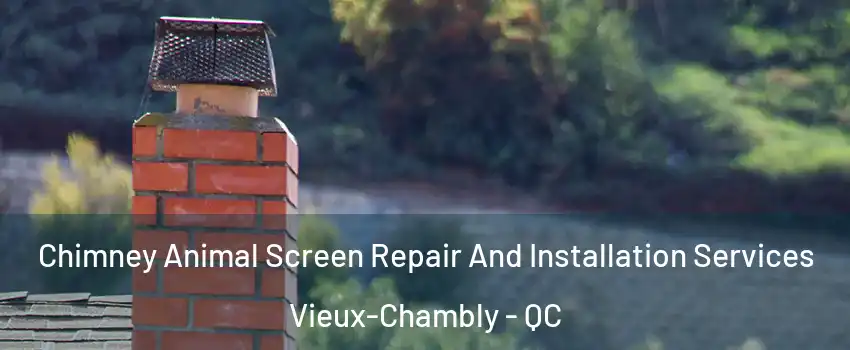  Chimney Animal Screen Repair And Installation Services Vieux-Chambly - QC