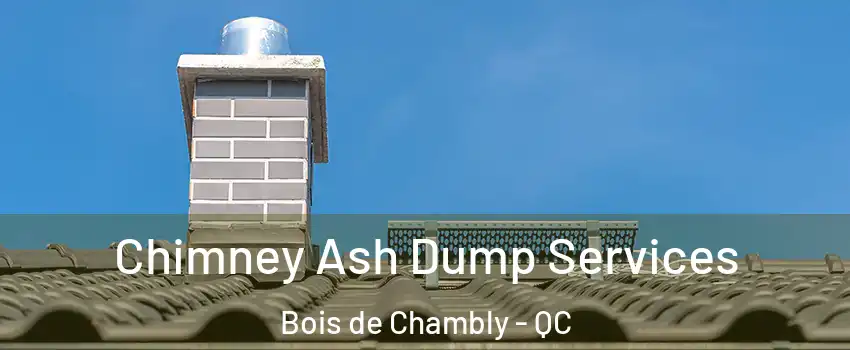  Chimney Ash Dump Services Bois de Chambly - QC