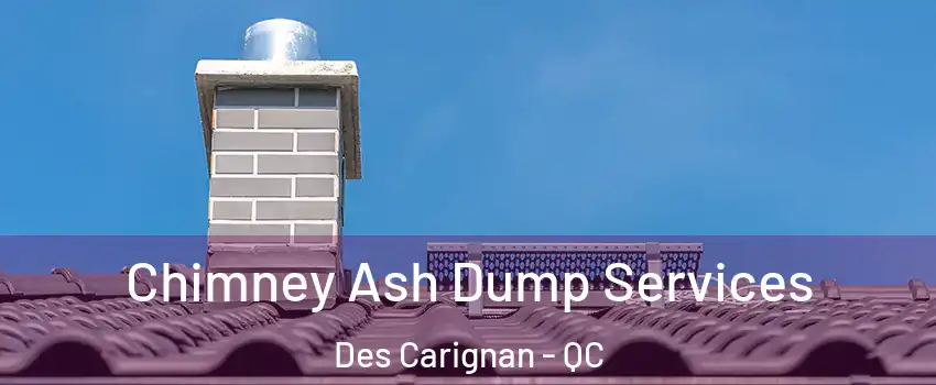  Chimney Ash Dump Services Des Carignan - QC