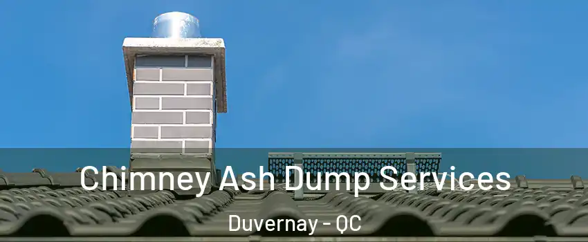  Chimney Ash Dump Services Duvernay - QC