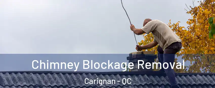  Chimney Blockage Removal Carignan - QC