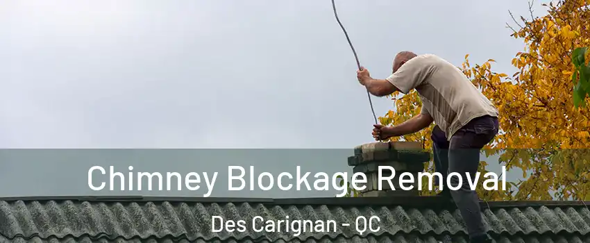  Chimney Blockage Removal Des Carignan - QC