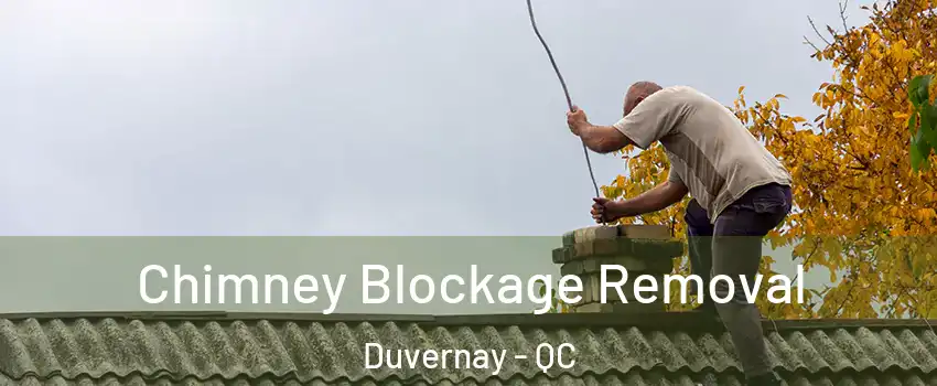  Chimney Blockage Removal Duvernay - QC