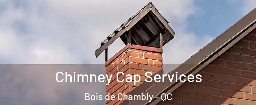  Chimney Cap Services Bois de Chambly - QC