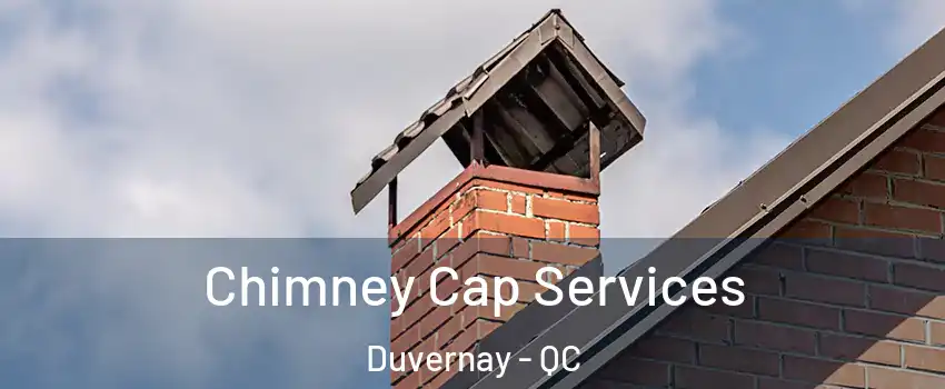  Chimney Cap Services Duvernay - QC