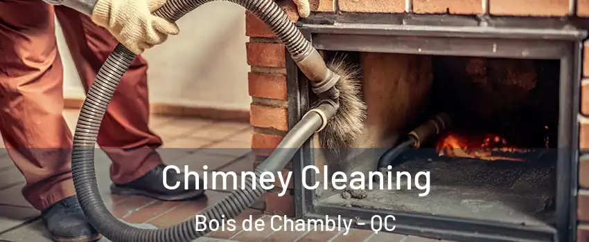  Chimney Cleaning Bois de Chambly - QC