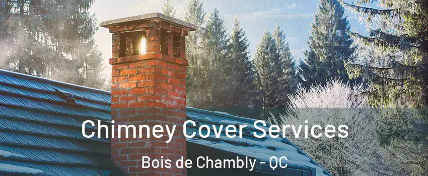  Chimney Cover Services Bois de Chambly - QC