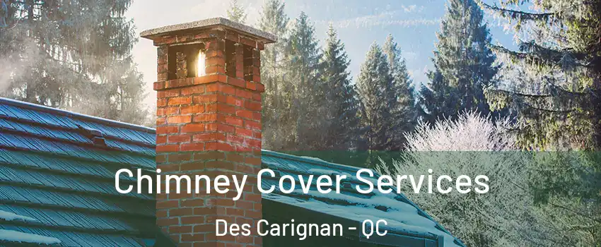  Chimney Cover Services Des Carignan - QC