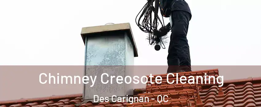  Chimney Creosote Cleaning Des Carignan - QC