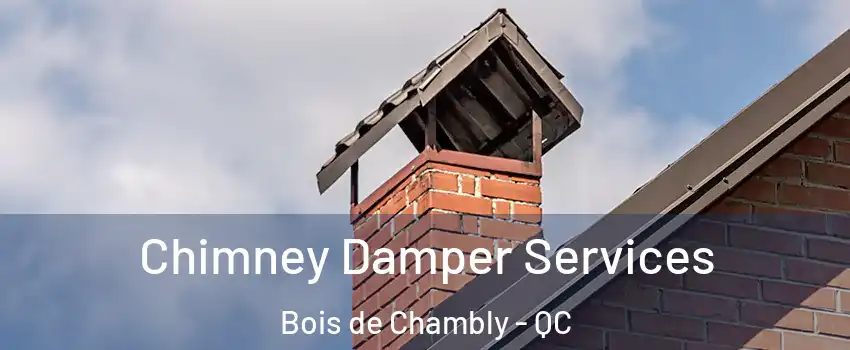  Chimney Damper Services Bois de Chambly - QC