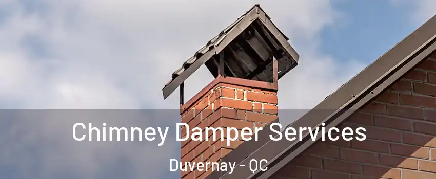  Chimney Damper Services Duvernay - QC