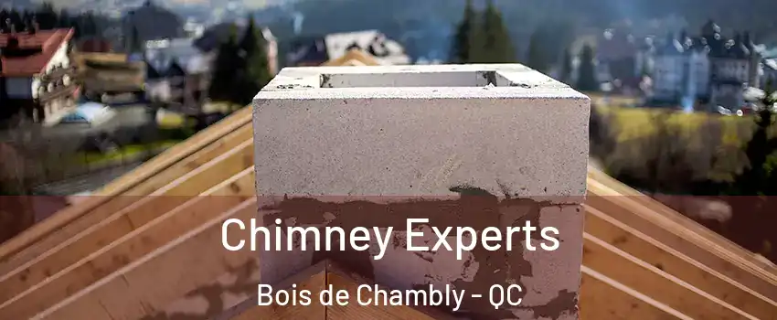Chimney Experts Bois de Chambly - QC