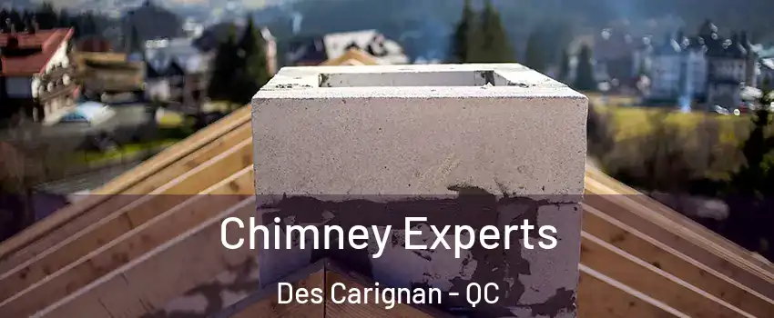 Chimney Experts Des Carignan - QC