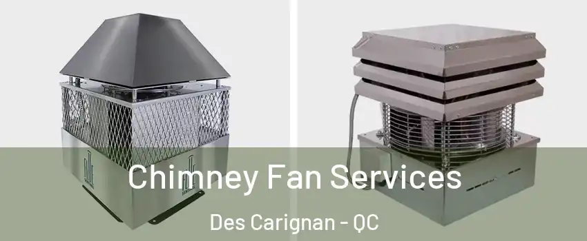  Chimney Fan Services Des Carignan - QC