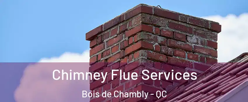  Chimney Flue Services Bois de Chambly - QC
