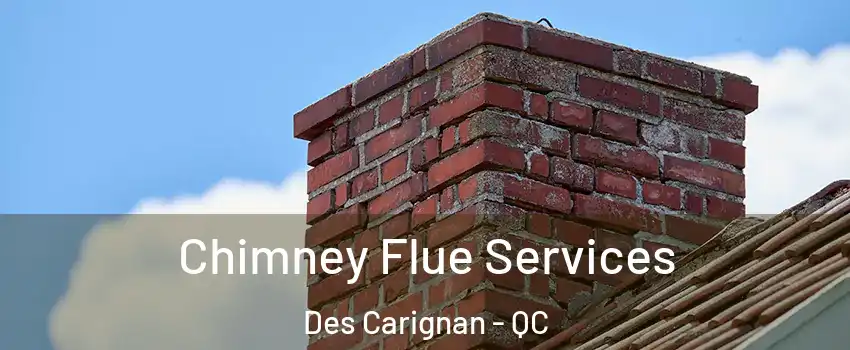  Chimney Flue Services Des Carignan - QC