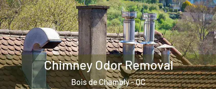  Chimney Odor Removal Bois de Chambly - QC