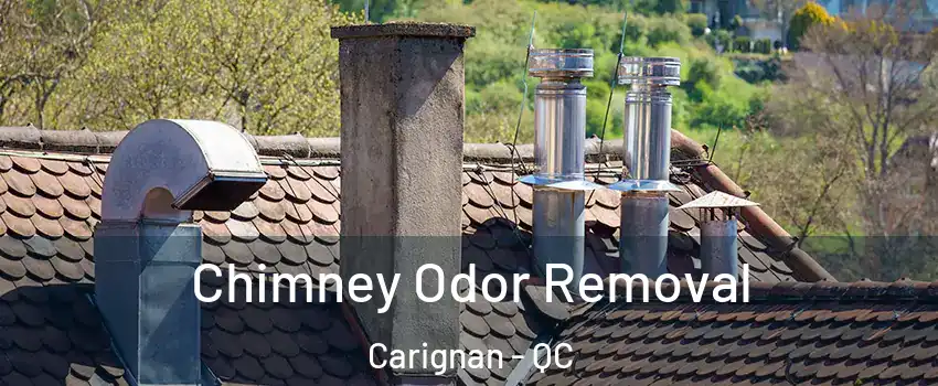  Chimney Odor Removal Carignan - QC
