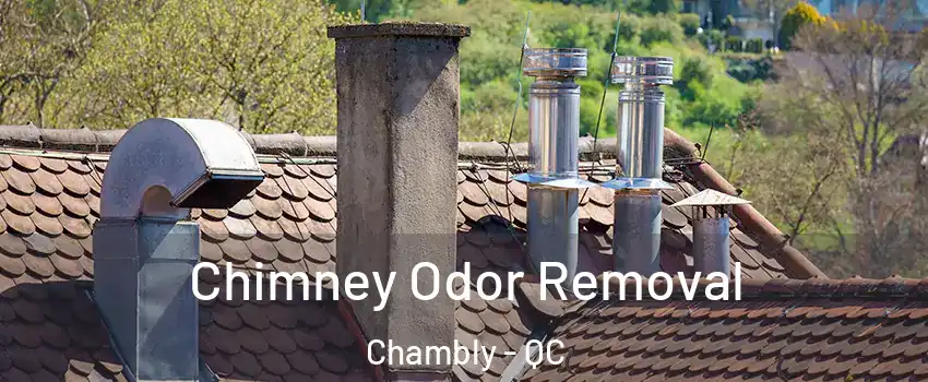  Chimney Odor Removal Chambly - QC