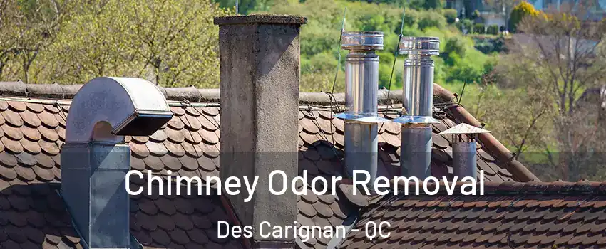  Chimney Odor Removal Des Carignan - QC