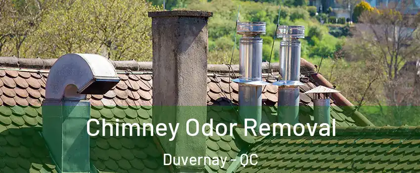  Chimney Odor Removal Duvernay - QC