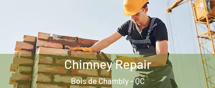 Chimney Repair Bois de Chambly - QC