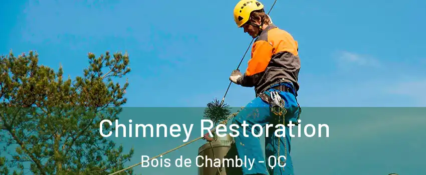  Chimney Restoration Bois de Chambly - QC