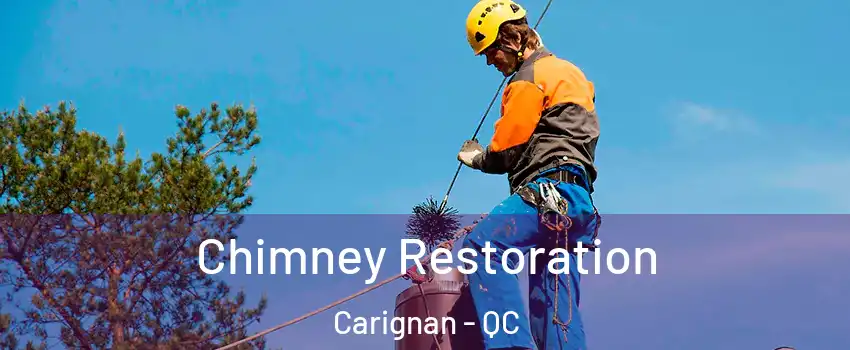  Chimney Restoration Carignan - QC