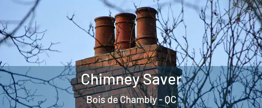  Chimney Saver Bois de Chambly - QC