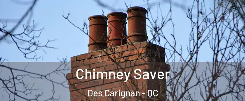  Chimney Saver Des Carignan - QC