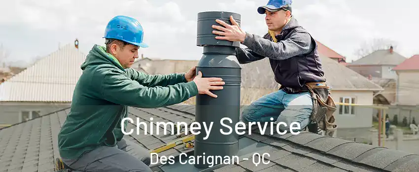  Chimney Service Des Carignan - QC