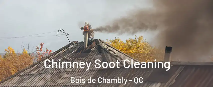  Chimney Soot Cleaning Bois de Chambly - QC