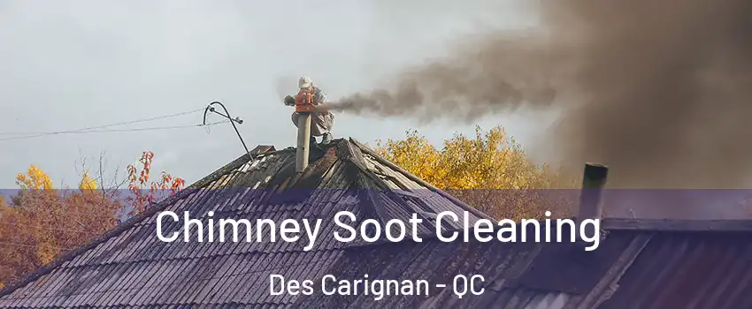  Chimney Soot Cleaning Des Carignan - QC
