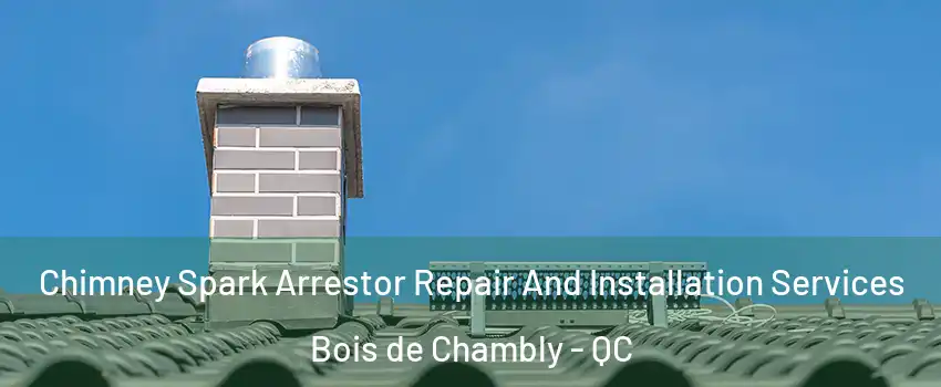  Chimney Spark Arrestor Repair And Installation Services Bois de Chambly - QC