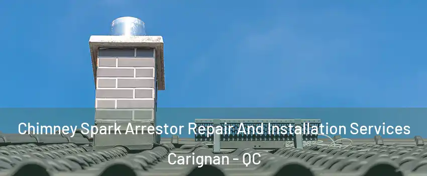  Chimney Spark Arrestor Repair And Installation Services Carignan - QC