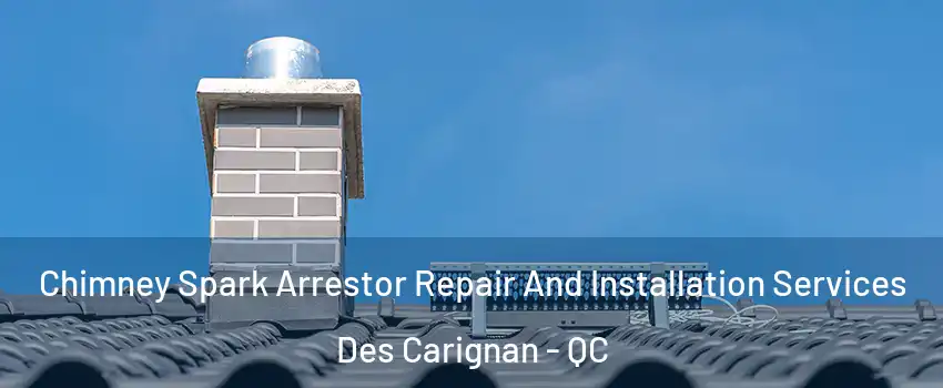  Chimney Spark Arrestor Repair And Installation Services Des Carignan - QC