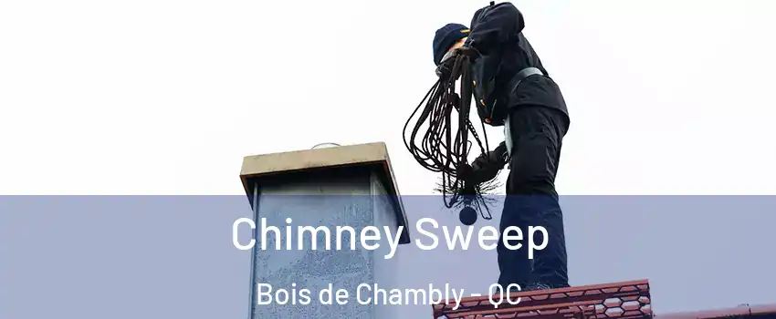  Chimney Sweep Bois de Chambly - QC