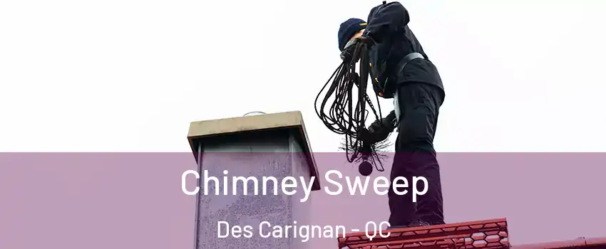  Chimney Sweep Des Carignan - QC