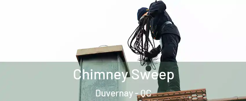  Chimney Sweep Duvernay - QC