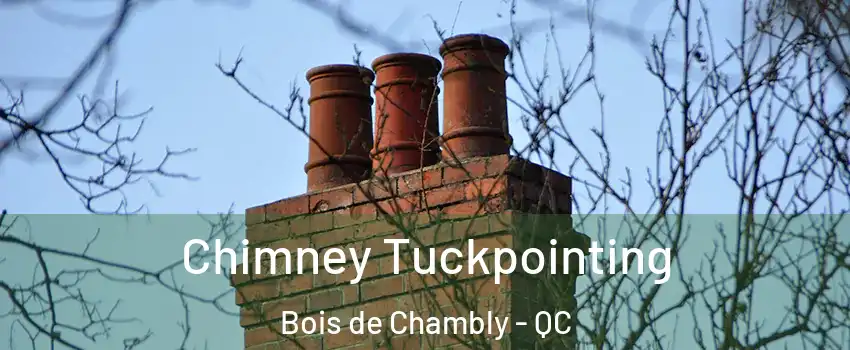  Chimney Tuckpointing Bois de Chambly - QC